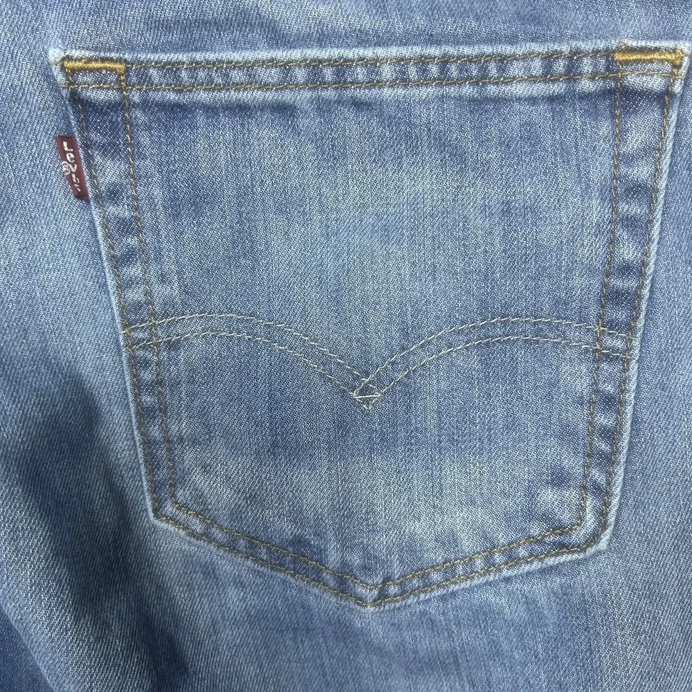 Levis levis 569